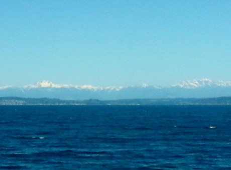 Puget Sound, Olympic Peninsula, and Olympic Mountains. (I know I keep promising to use a good camera for my nature shots instead of my phone...)