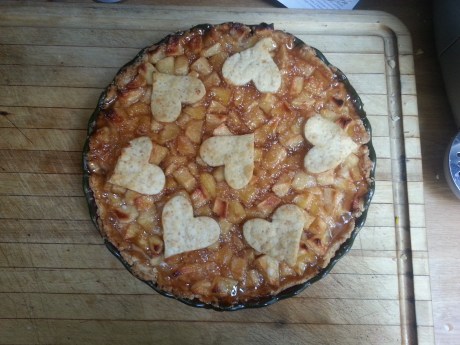 First things first. Is this pie a beauty, or what? The lovely caramelized top was an accident. I had so many apples to use up that I cooked the filling on the stove top before I filled the pie so that it would reduce in volume a little. It's a good thing I did this as my pie dough was not well behaved enough to roll into a full top and bottom crust. The pre-cooking kept the apples from drying out in the oven. Okay, enough about pies; let's move onto the garden.