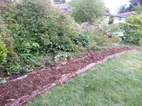 "Follow the Cedar Bark Road, follow the Cedar Bark Road."