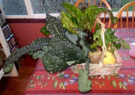 Jann's Christmas present to me. A basket of health that she grew with her own hands. 