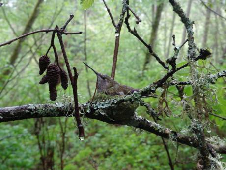 10271383_10203505974960413_6338930511465061000_o