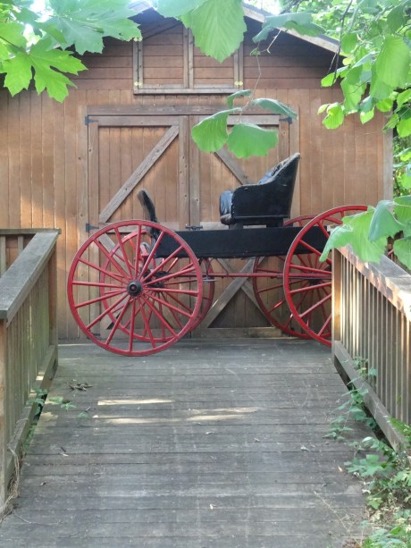My parent's antique physician's buggy. My dad built the building for it as well as a number of other buildings on the property.