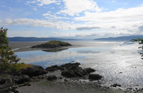 The view from the rental house at low tide.