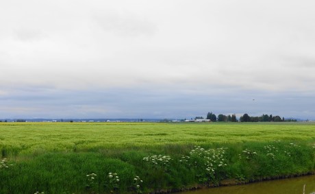 The gentle farmland is decidedly not nightmarish.