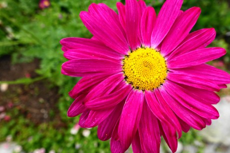 Even pink, in its original form, is not scary to this breast cancer survivor.